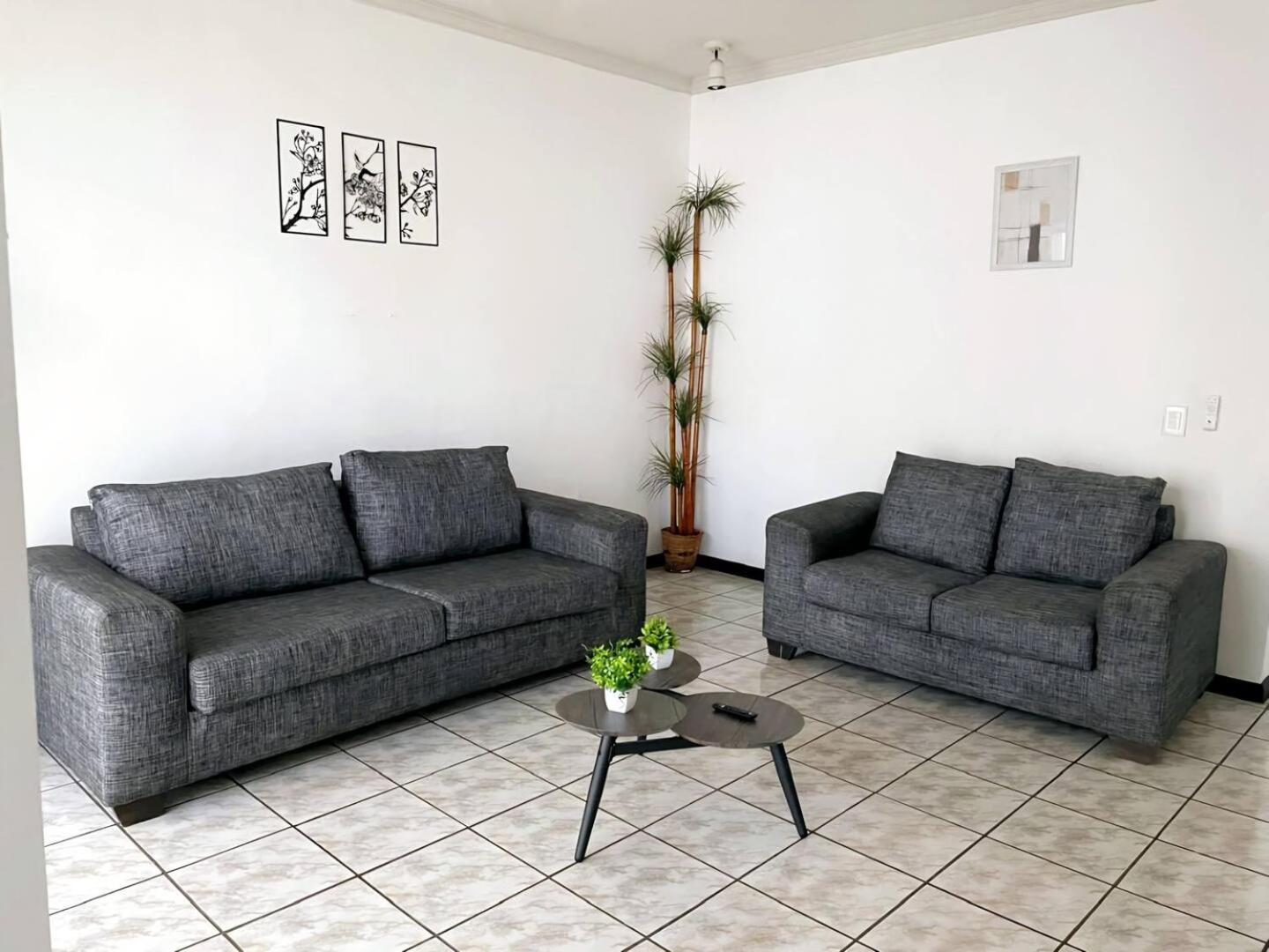 La Casa Rosa Monterrey Villa Ngoại thất bức ảnh